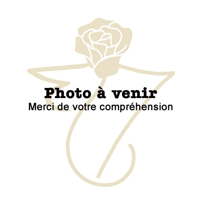 FISH BENGALI